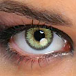 Queen’s trilogy Sphérique Light Green